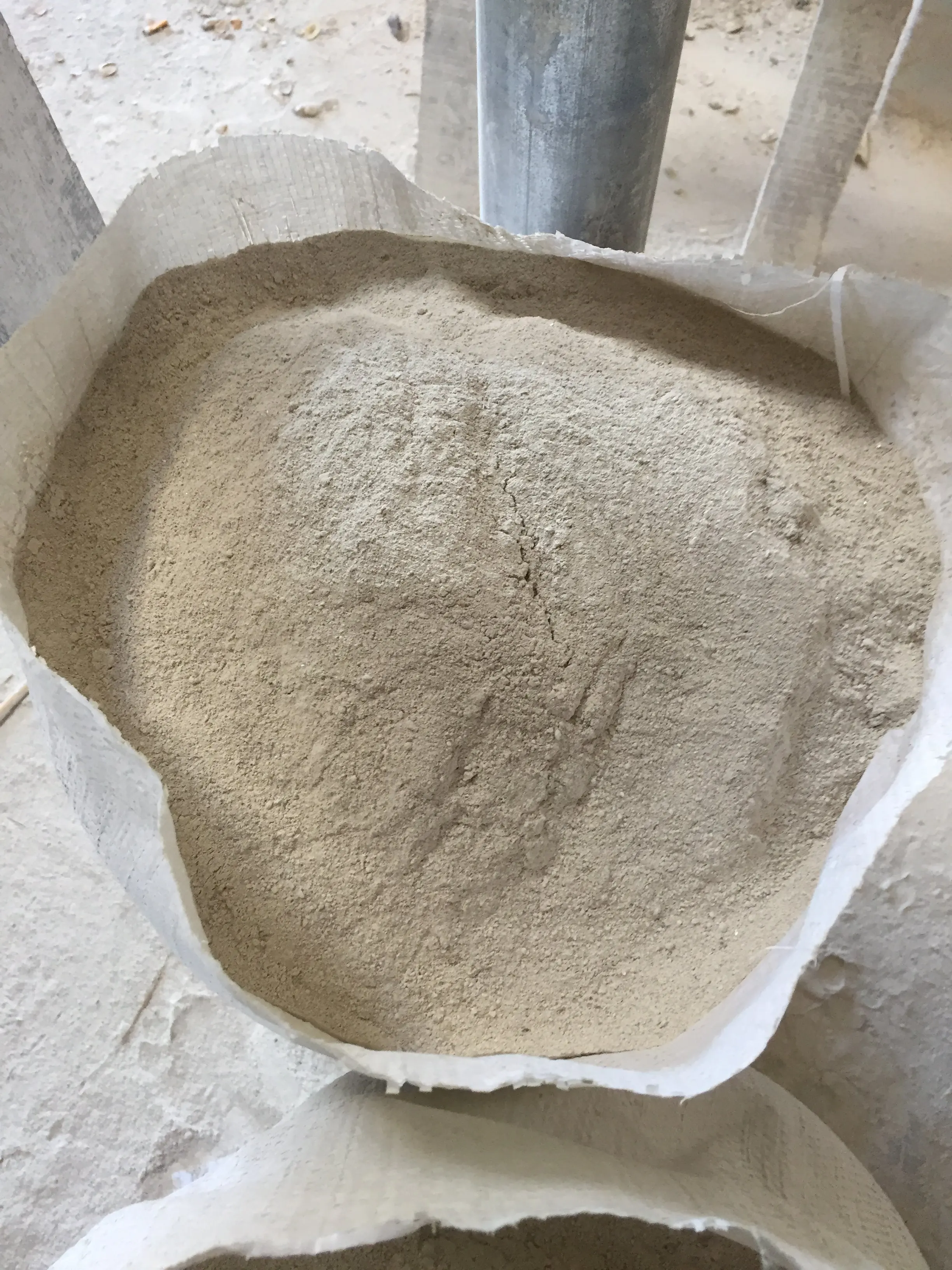 Лучшая цена на морскую скорлупу/морские скорлупы для еды Вьетнамом/мисс нари (+ 84 904 183 651)