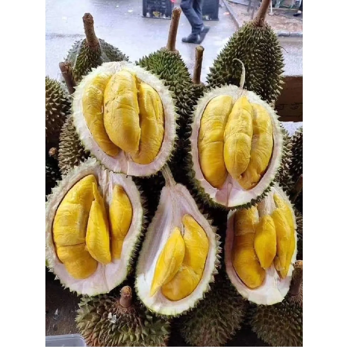 
100% Fresh Super Sweet Taste Premium Quality Musang King Durian Whole Fruit Export From Malaysia 