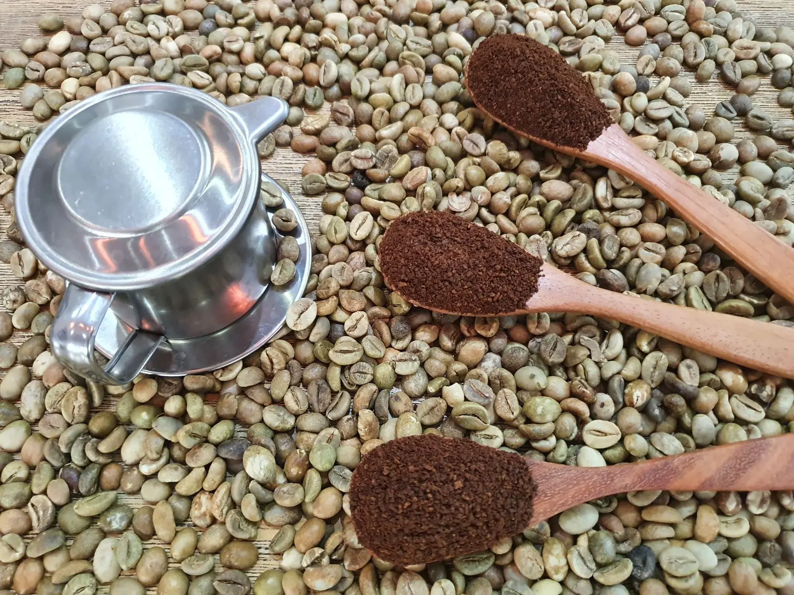 
Vietnamese Raw Coffee Beans Good Price 