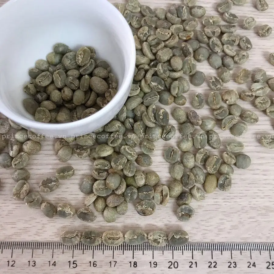  Вьетнам лидер продаж кофе в зернах Arabica Vietnam 18 scr зеленые кофейные зерна необработанные