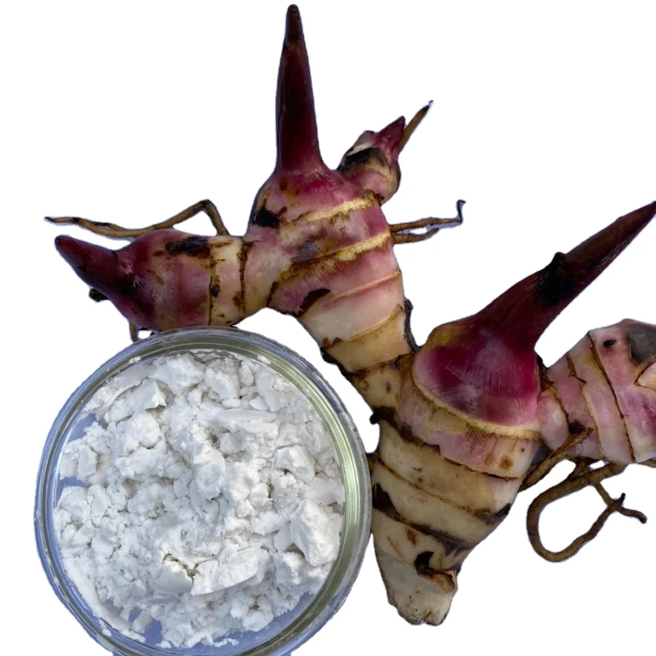 Arrowroot крахмал мука белый порошок родного типа из Вьетнамского