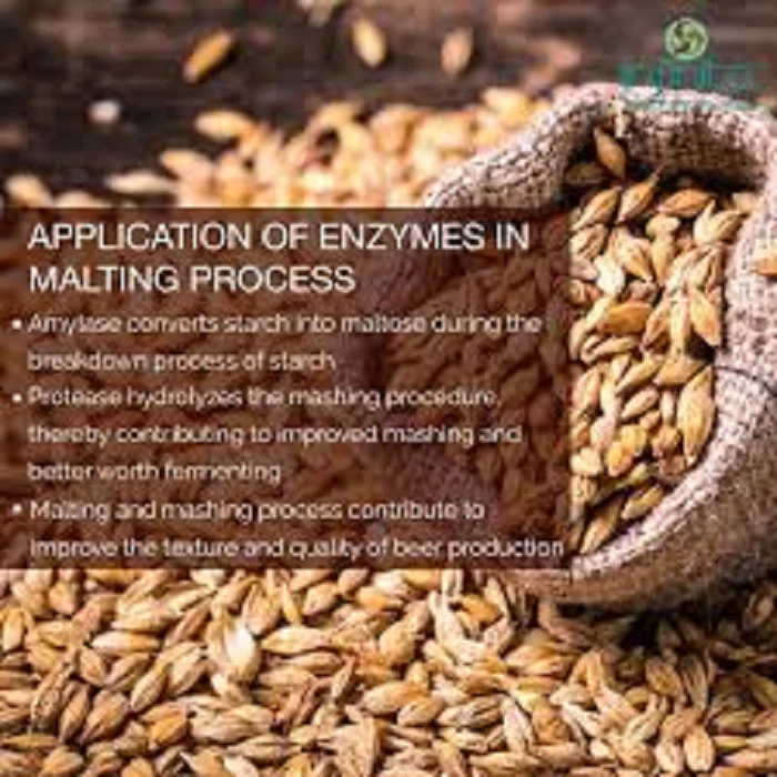 
Папаин для малтирующих ферментов 