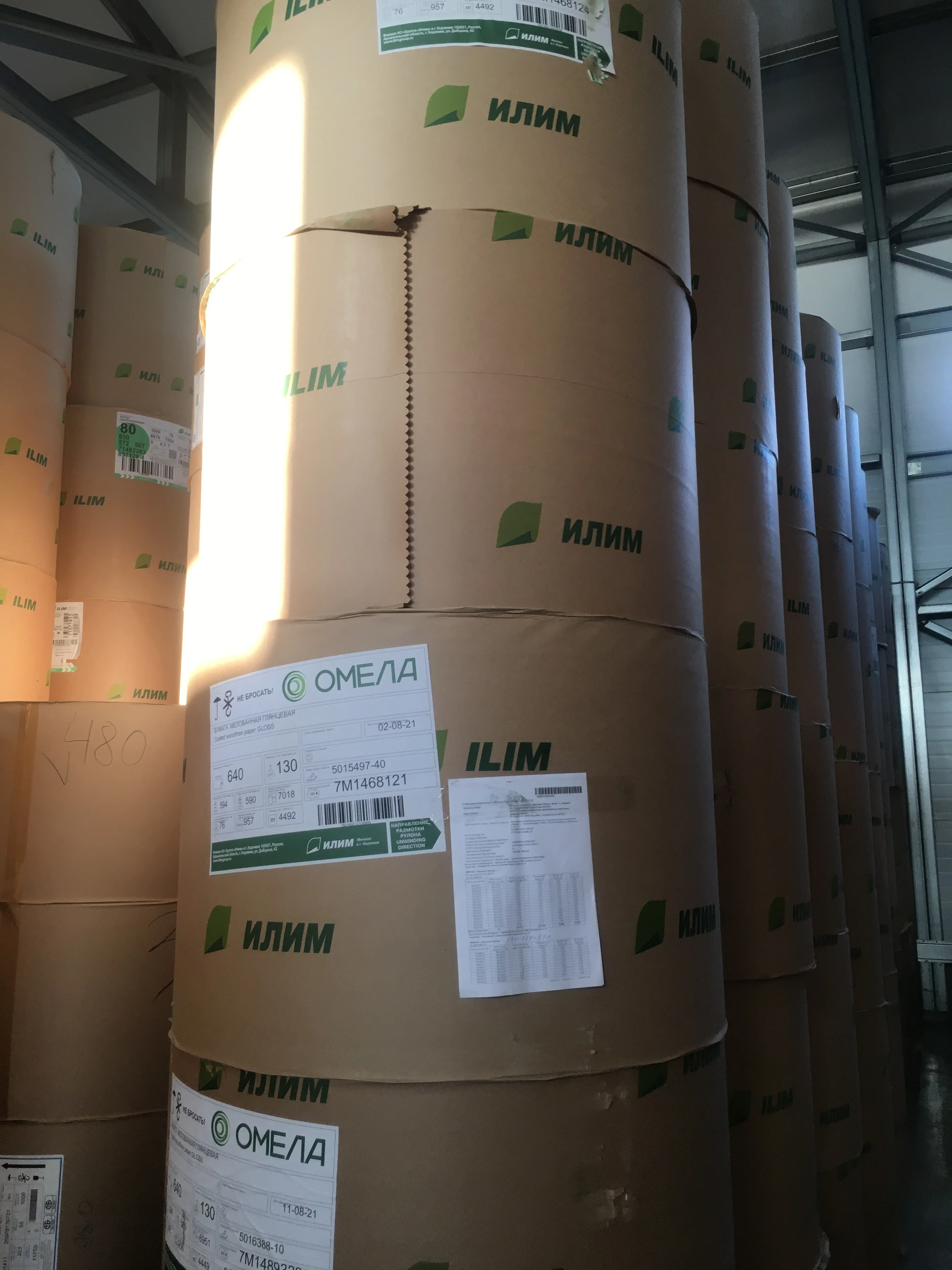 Coated wood free paper GLOSS