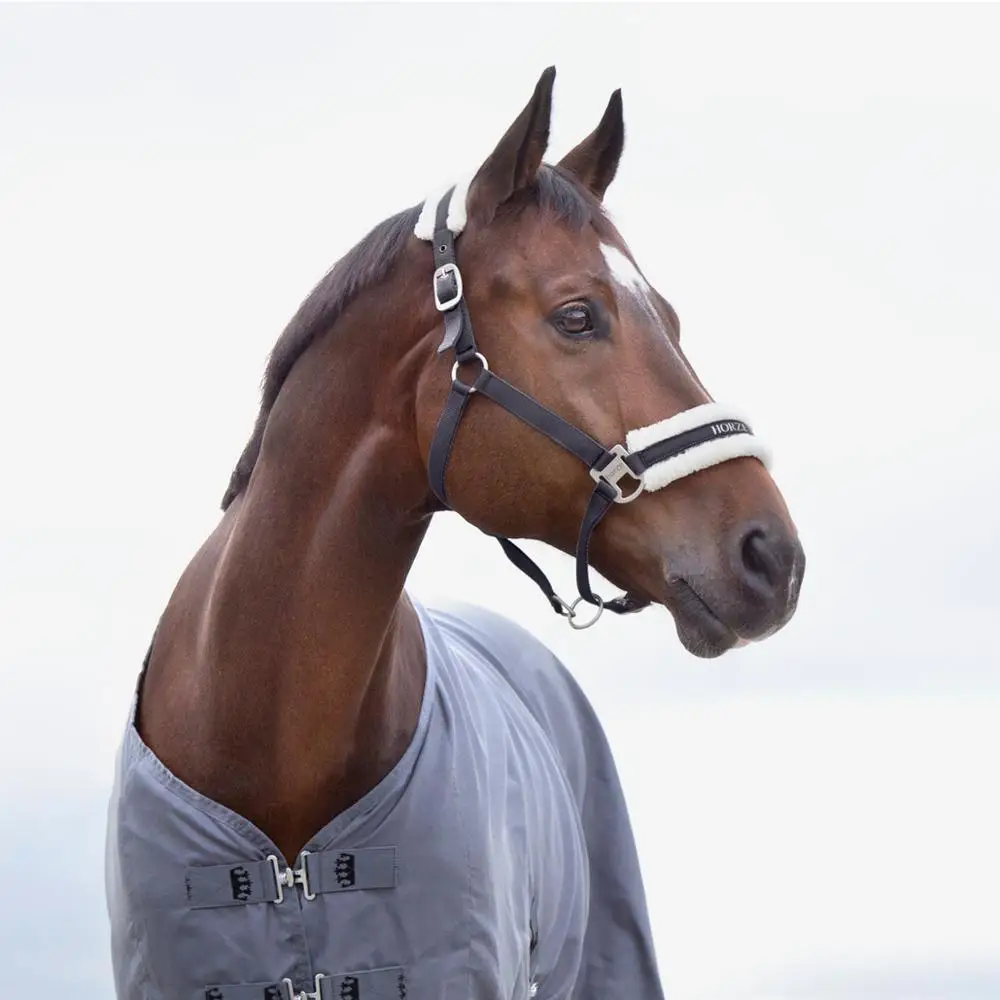 
Top Quality Halter Soft Nylon Webbing Great Value Priced Halter is Perfect For Every Day Use 