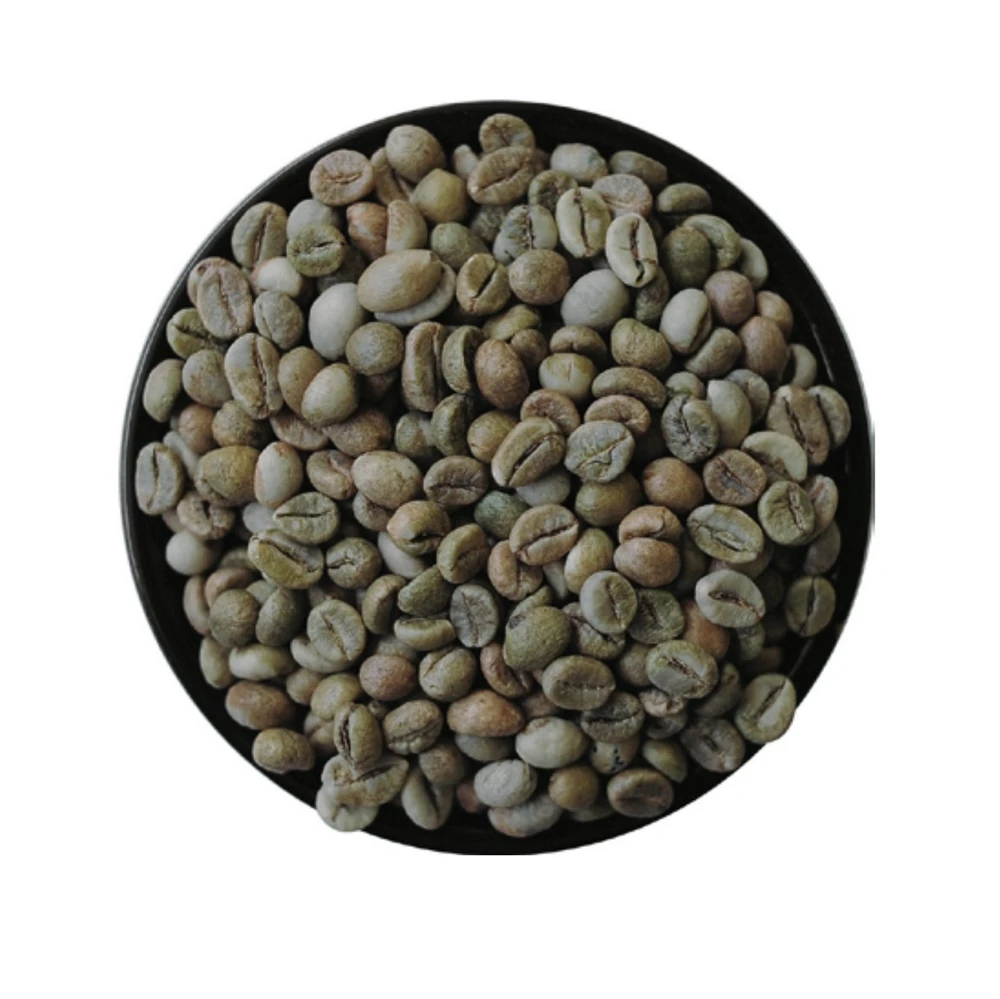 New Season 2021 High Quality Vietnam Robusta Coffee Beans - Robusta Clean S16, Black seed rate 0%