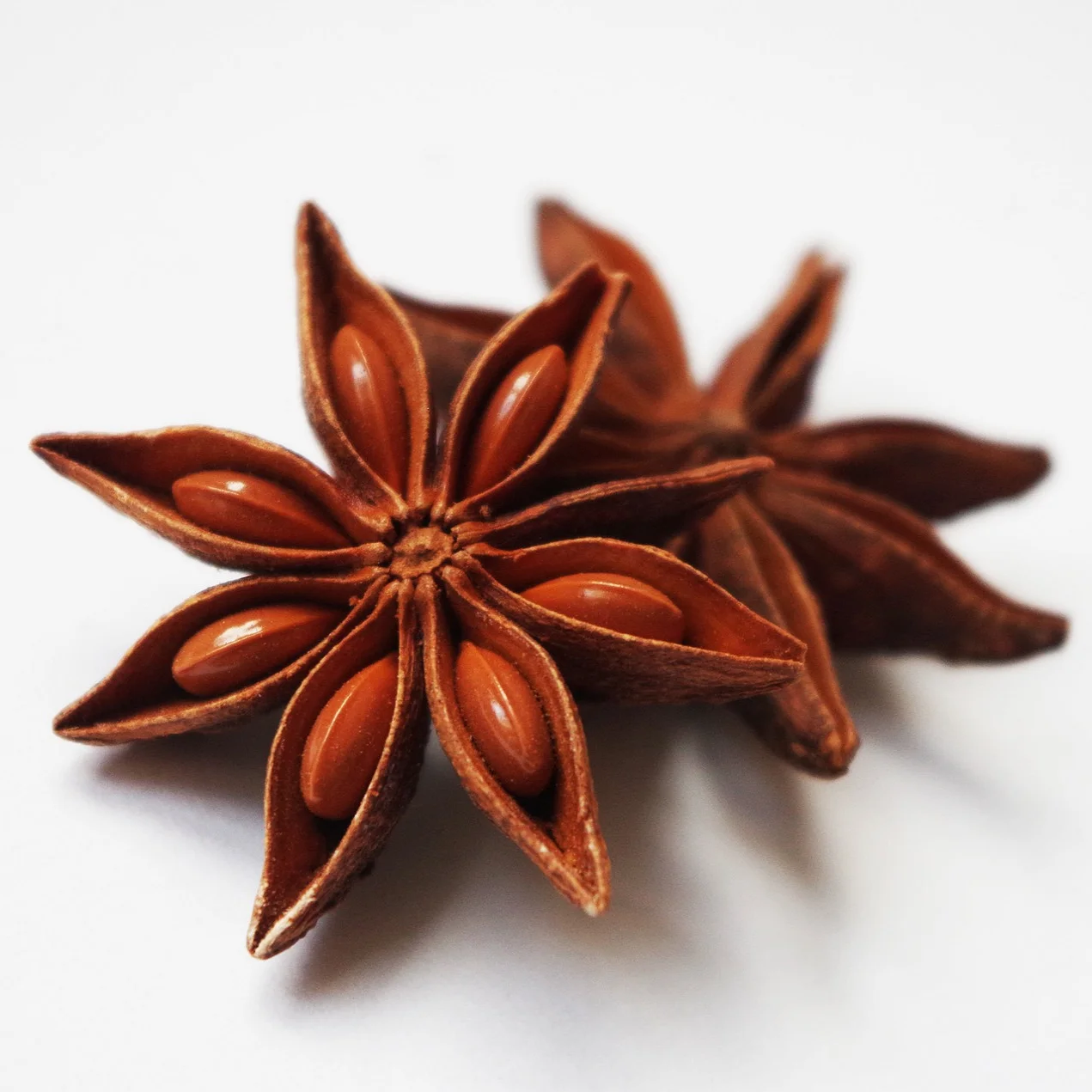 Vietnam star aniseed/ anise star - Broken star anise/ star anise oil from Vietnam