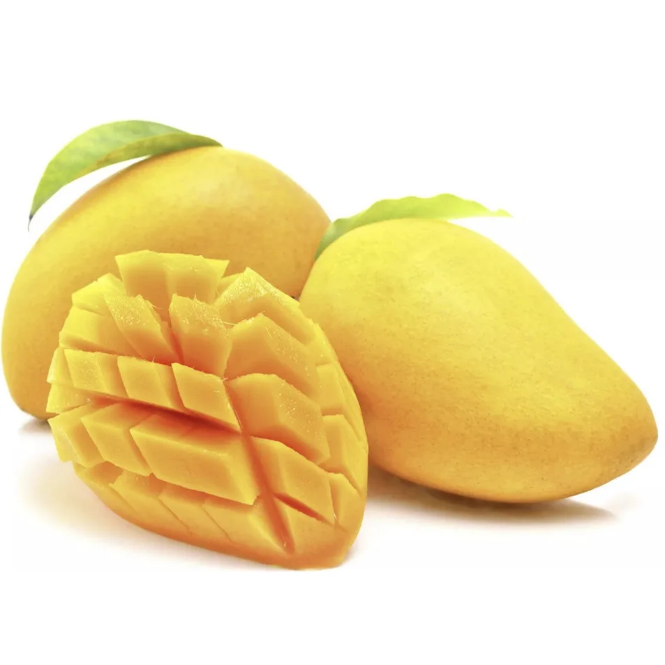 55 Days Shell Life Green High Quality Fresh Mango Fruit 8Kgs/Carton Best Price Origin From Vietnam