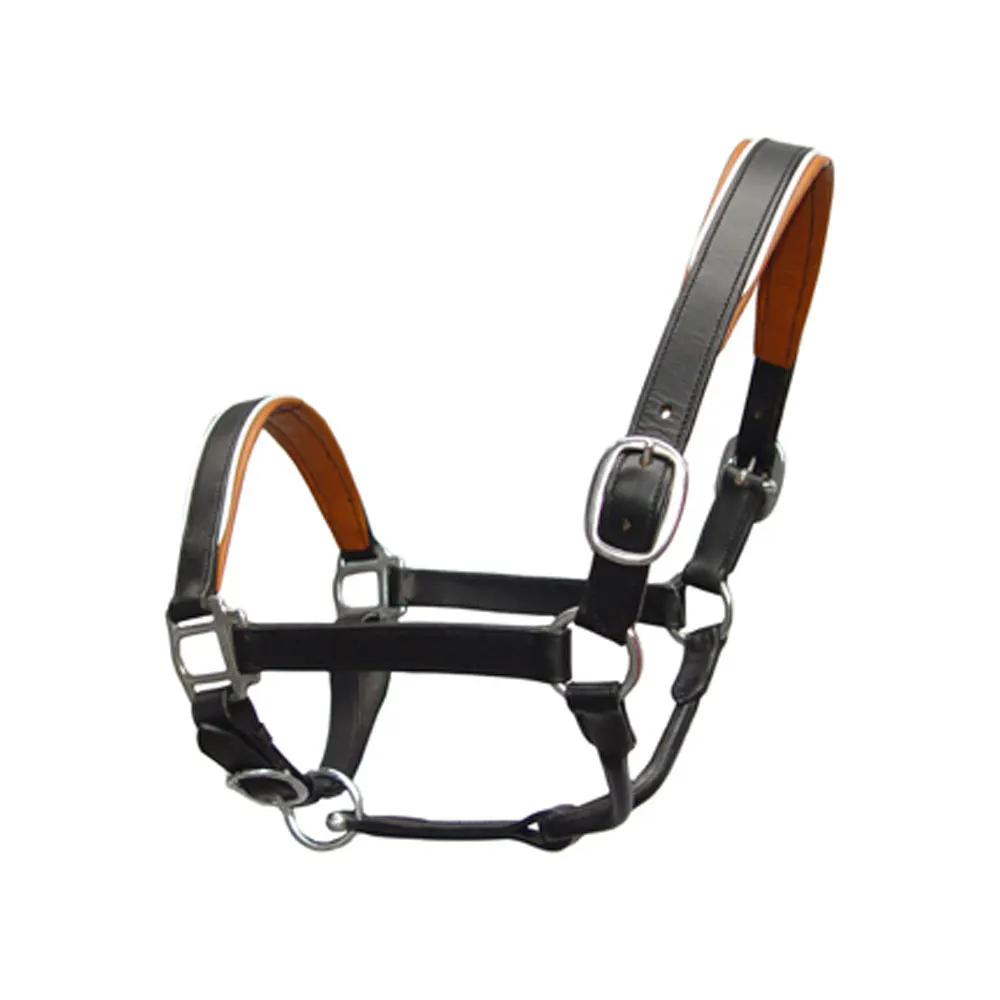 Полностью Индивидуальные лошади Холтер производство цена лошадей конный спорт продукты скачки Холтер