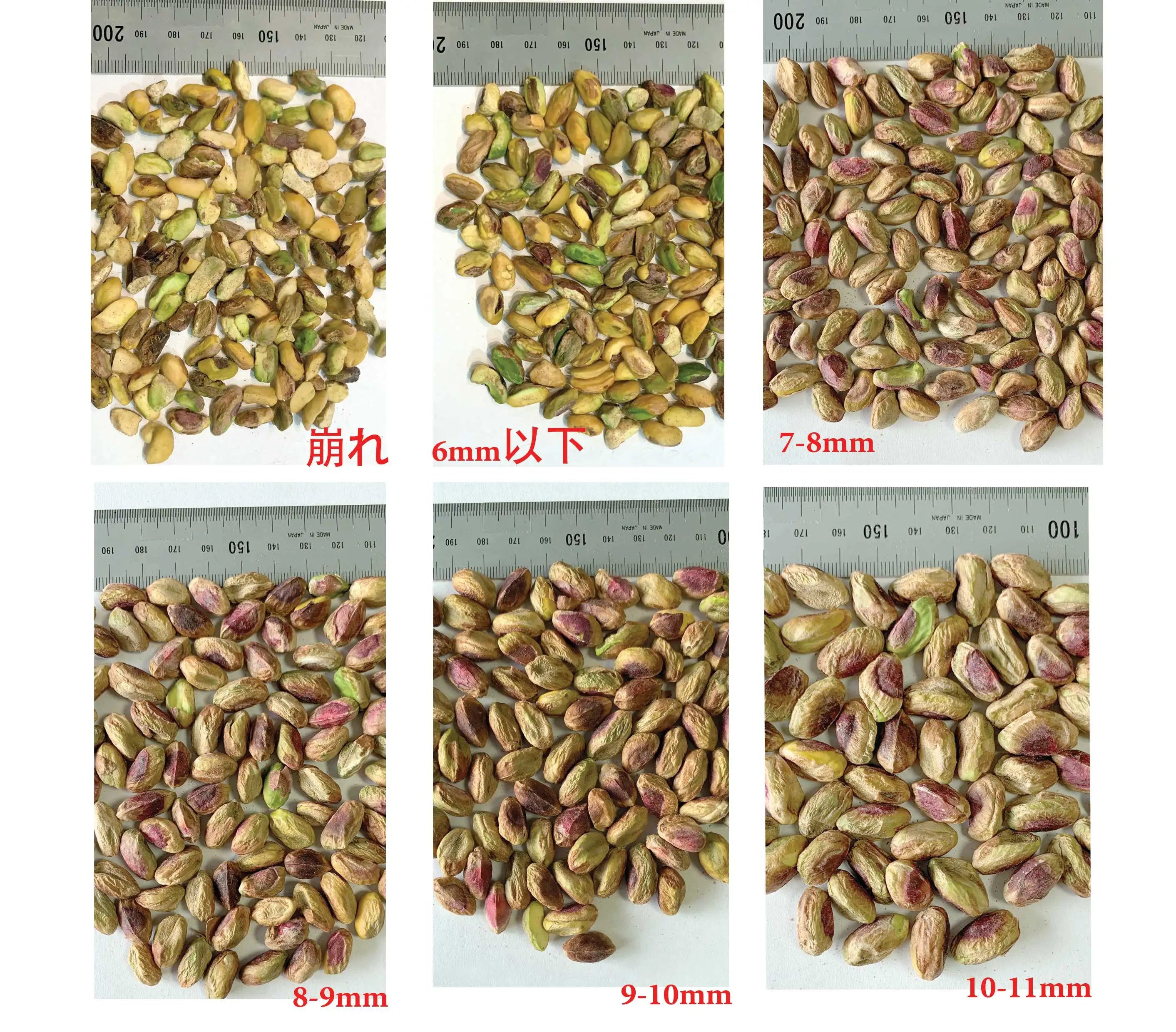 High quality wholesale dried nut food peeled pistachio from Oman