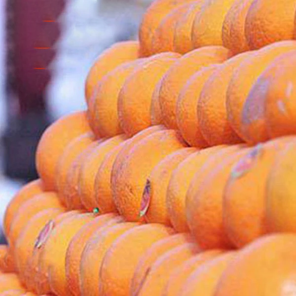 Pakistani mandarin orange Citrus fruit for Russia & Bangladesh & Indonesia & Malaysia market