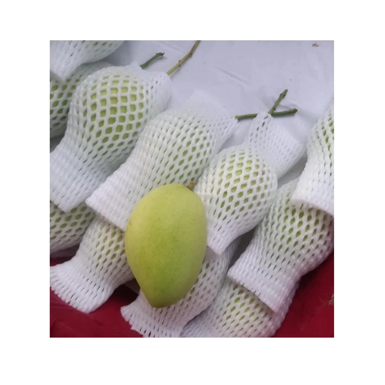 Common Cultivation  Type Green High Quality Fresh Mango Fruit 8Kgs/Carton Best Price Origin From Vietnam