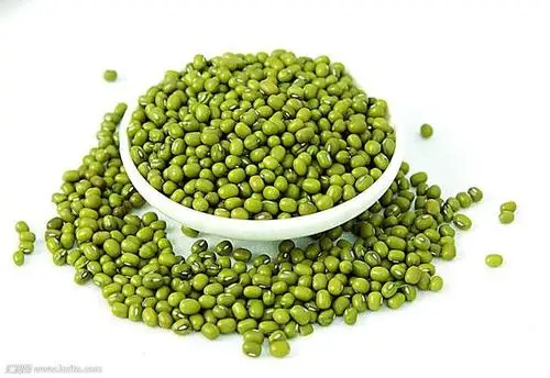 Wholesale Premium Agroculture Organic Dried Mung Bean Sprouts Green Beans