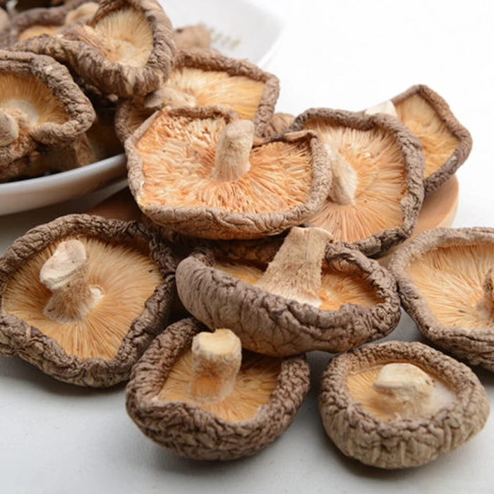 Dried Shiitake Mushroom Wholesale cheap dried shiitake mushroom-Ivy HH+84977157110