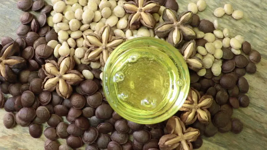 Sacha Inchi Oil | - 100% Pure and Natural Essential Oils Wholesale Bulk