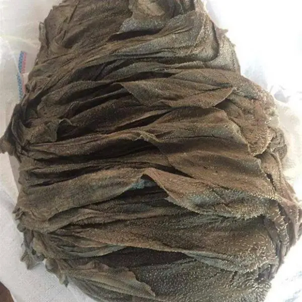 Соленые желчные камни OMASUM BUFFALO 100%