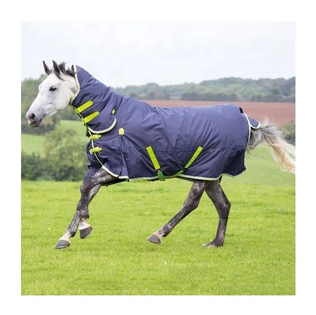 High Quality Cotton / Polyester Horse Winter Cover Rugs Quilted Design In Navy Blue Colors