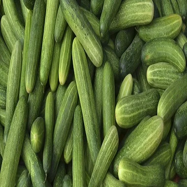 
fresh mexican slicer cucumbers 