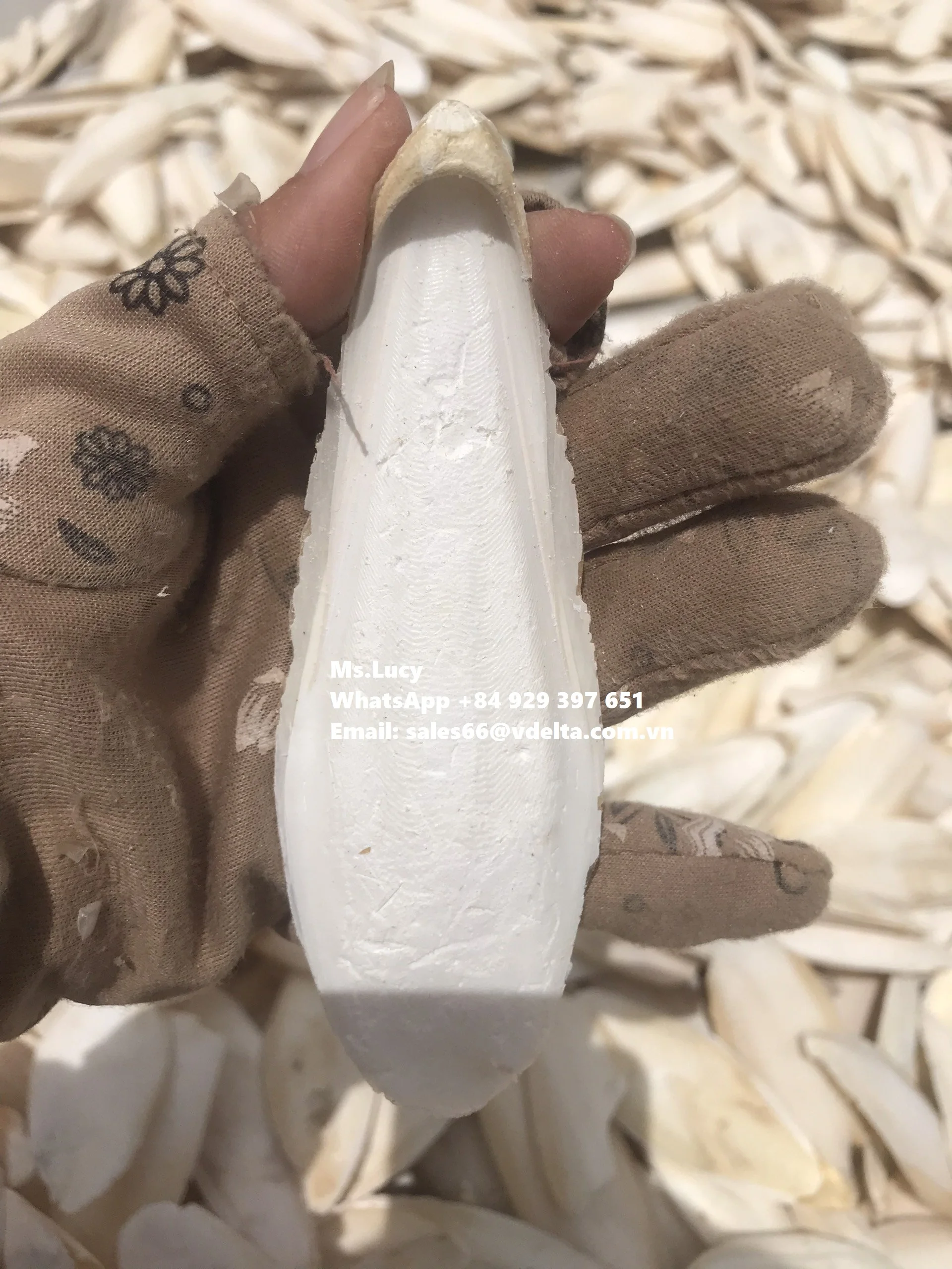 Оптовая продажа костей для резки рыбы/сухой порошок костей для резки рыбы/натуральная косточка Для дробленой рыбы Ms. Люси + 84 929 397 651