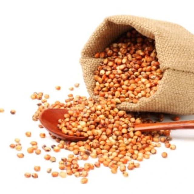 100% Raw Sunflower Seeds For Sale