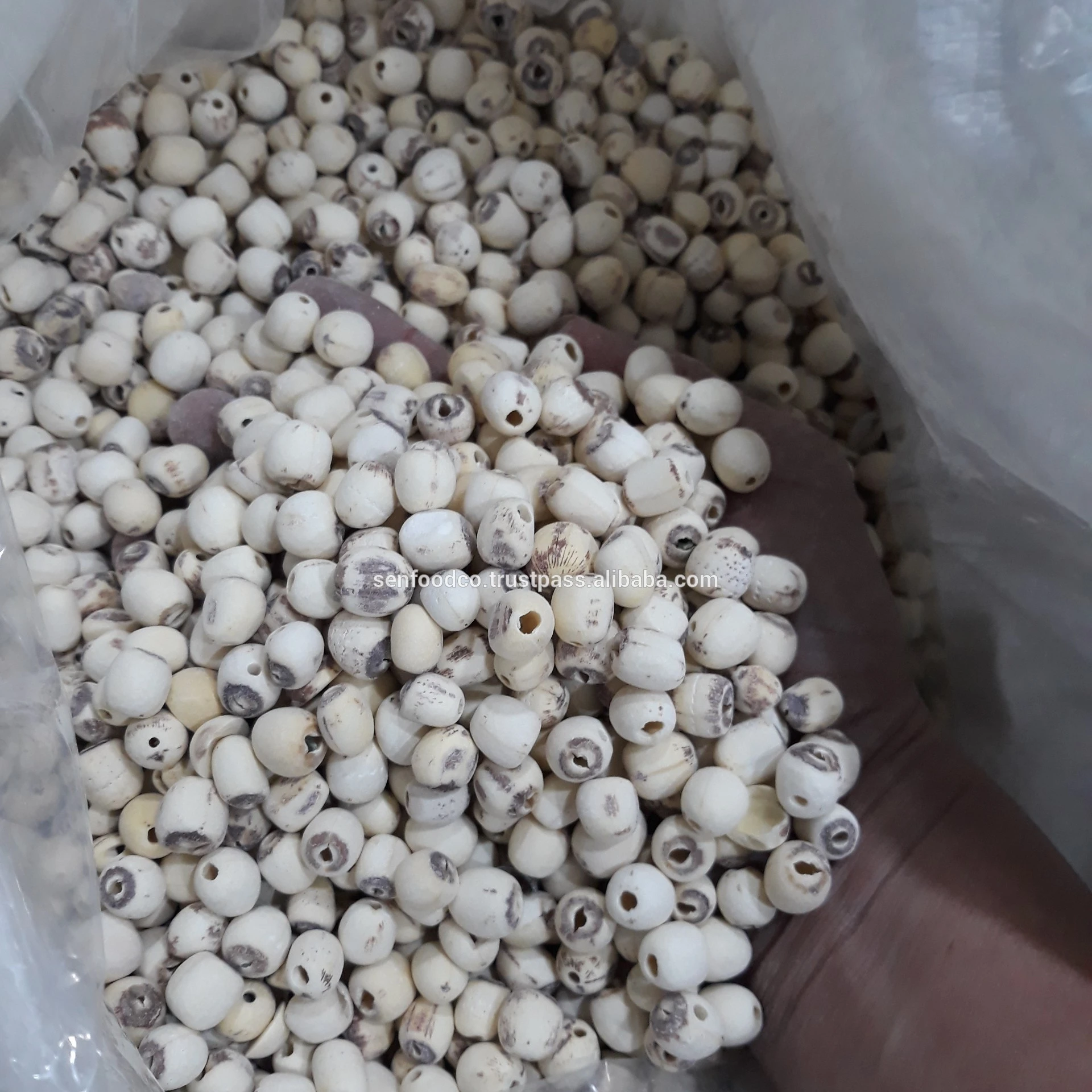 DRIED LOTUS SEEDS  FROM VIETNAM HIGH QUALITY (WHITE AND BLACK LOTUS SEEDS)  whatsapp +84934449569