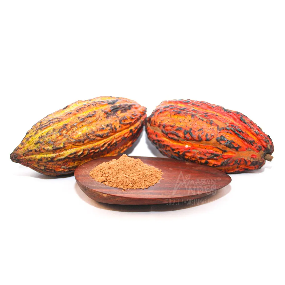 Peru Harvested Raw Cacao Powder at
