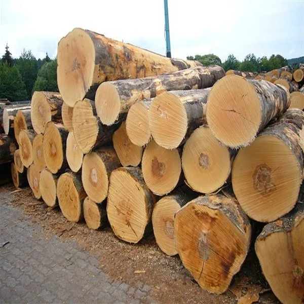 Cheap Timber Logs Teak Wood / Oak Wood Logs / Pine Wood Logs