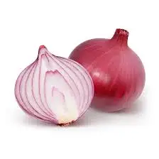 High Quality Export Fresh White Onion Price Onions Fresh