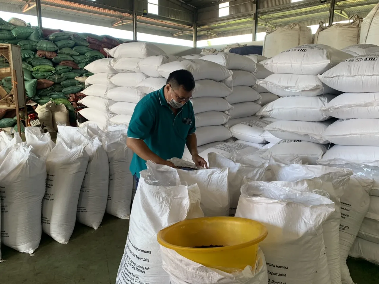 Hot Spices White and BLACK PEPPER 550 gl MC - 5MM Black pepper Vietnamese Origin for producing Seasonings WS +84 326055616
