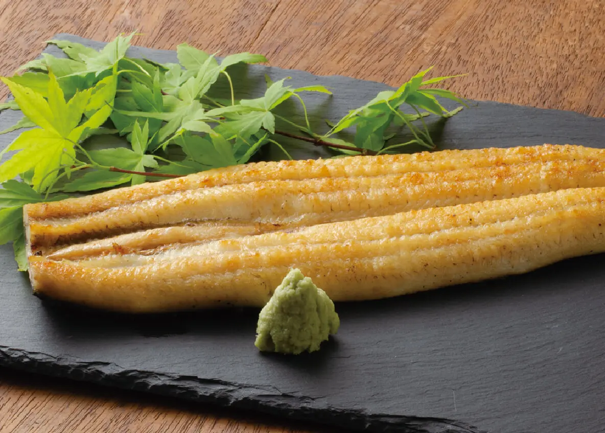  Свежая рыба с суши и сашими из морепродуктов Угорь (Unagi) Японская еда белая