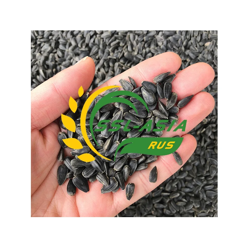 
Wholesale Organic Non GMO Sunflower Kernel Seeds 