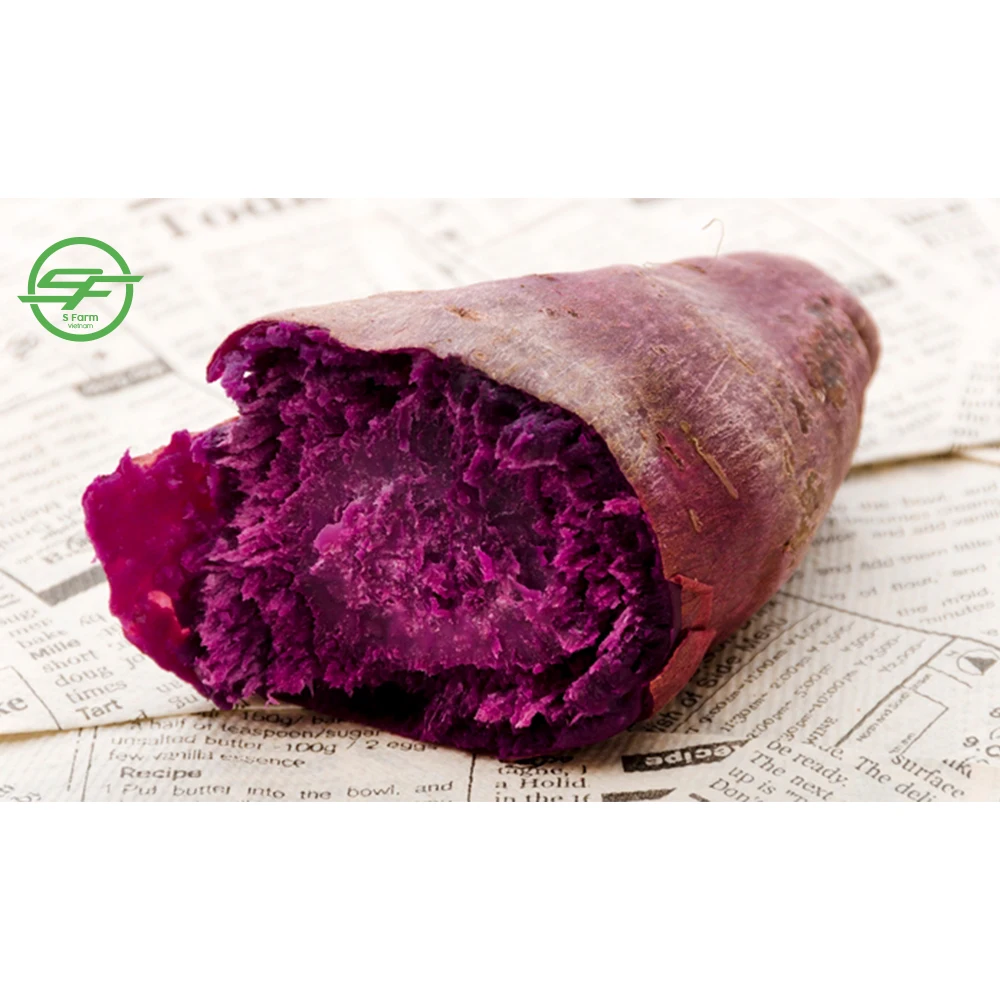High quality fresh Organic sweet purple potatoes from Vietnam(Whatsapp/zalo/wechat: +84 912 964 858)
