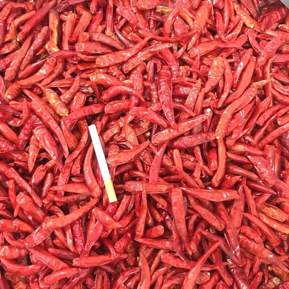 Сушеные приправы с красным перцем чили-специи приправами/сухие порошковые перцы чили/мс Деми + 84 961733400