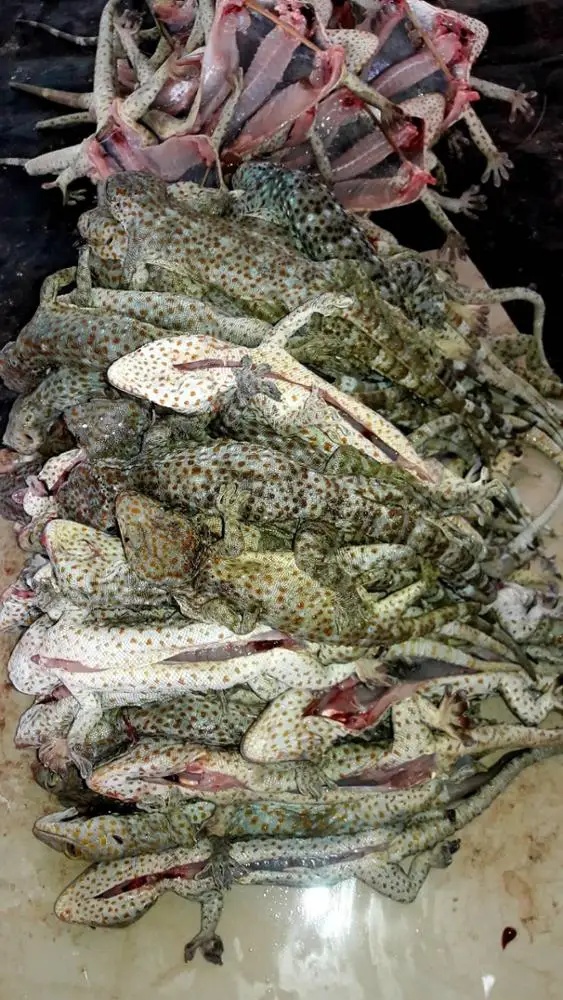 Сушеный ГАК AYAME из Таиланда