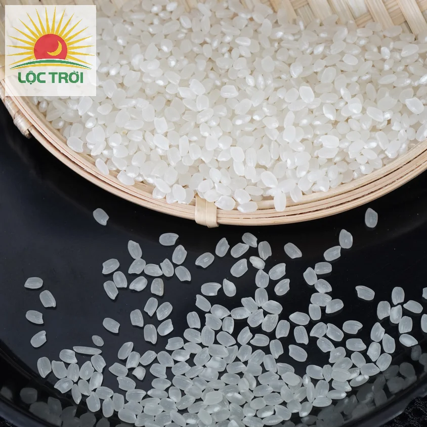 Premium Quality Calrose rice/Sushi rice/ Japonica from Vietnam Best Supplier Contact us - Loc Troi group for best price