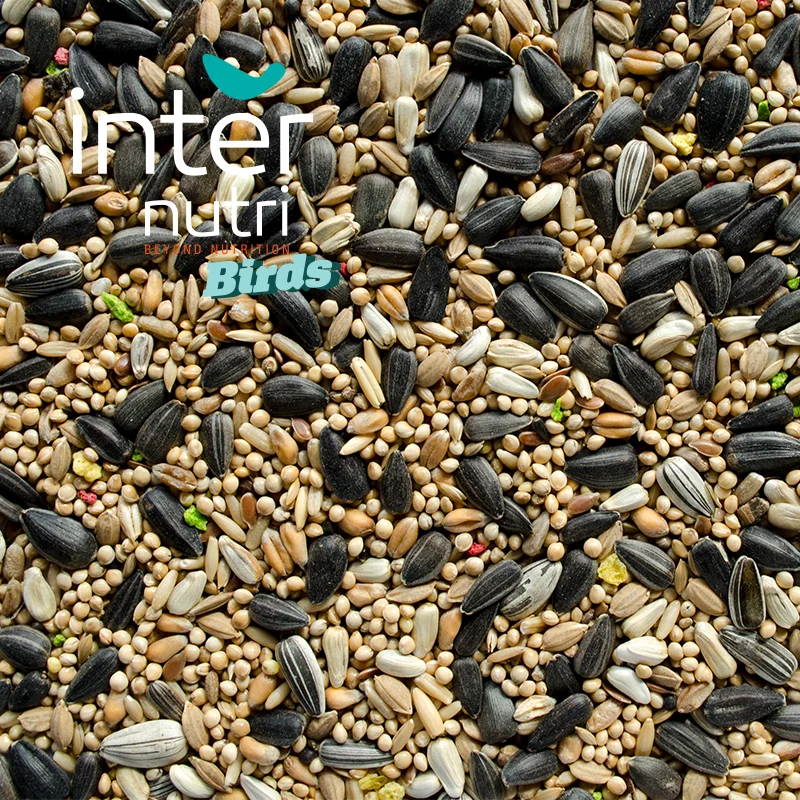 
Seed mixture for small psittacidae | INTERNUTRI PSITACIDEOS SMALL 5KG 