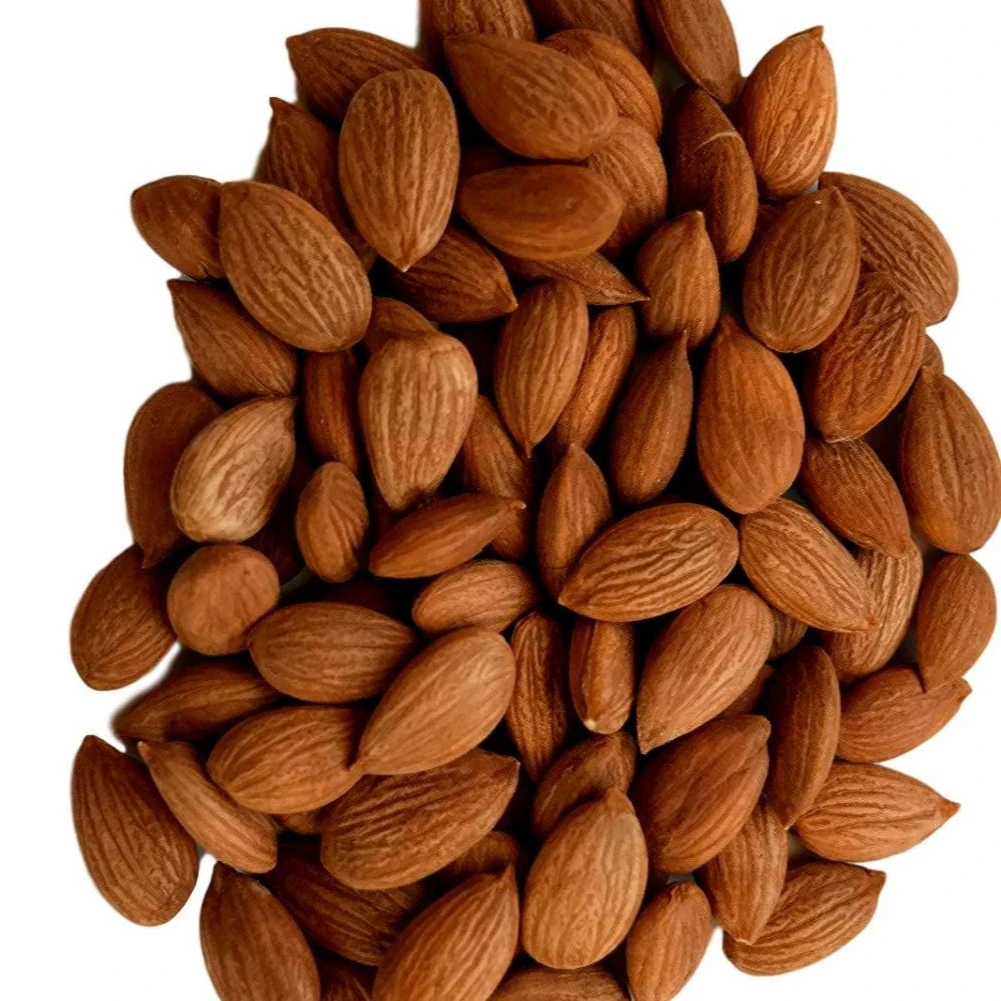 Apricot Kernels