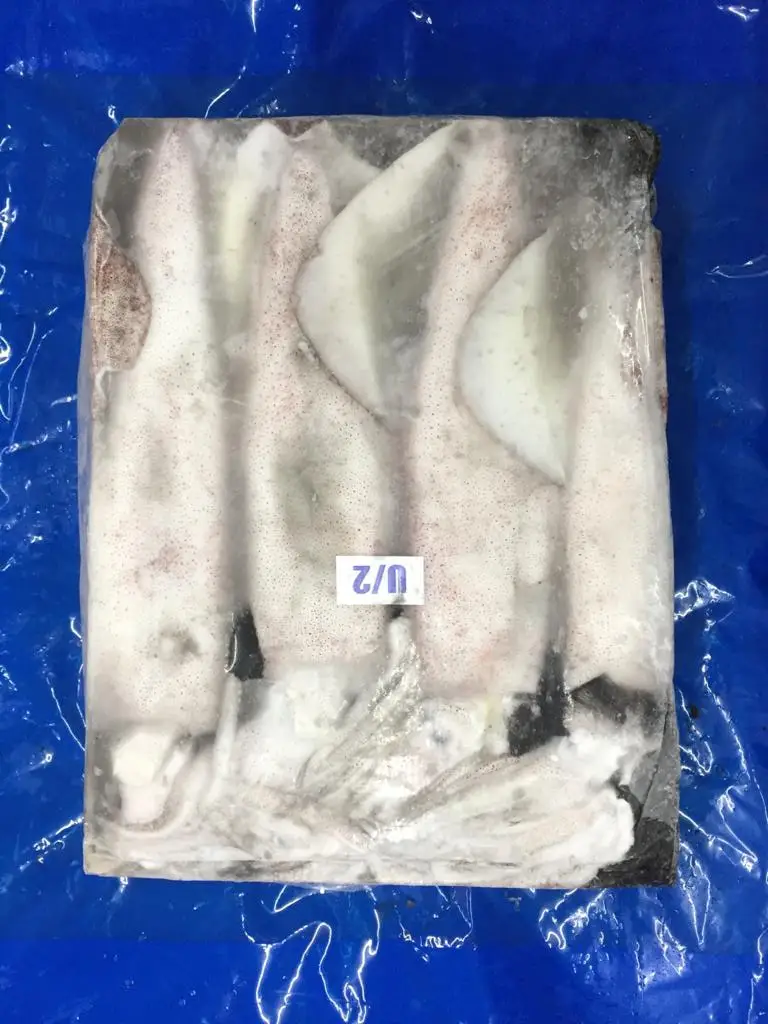 Замороженный лолиго кальмар из Индии замороженный блок