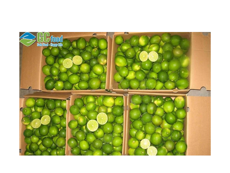 (New) Fresh lemon - Citrus Liming  - Lemon extraxt  - 0.06kg with best price for wholesale