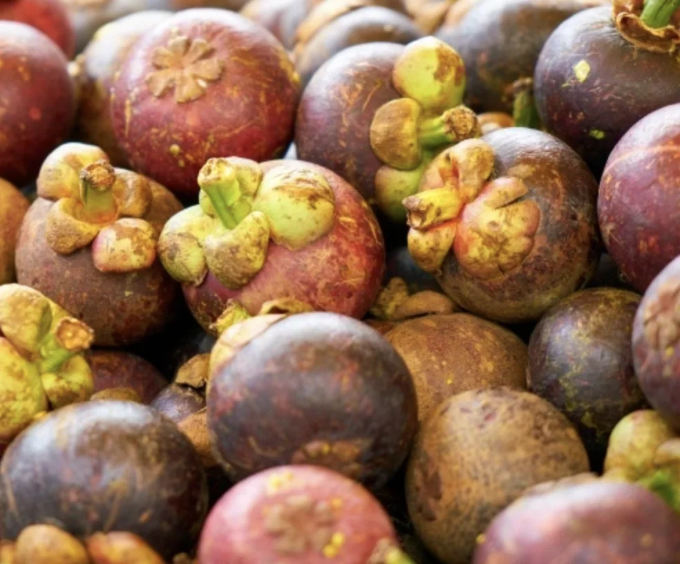 Свежий мангостин высокого качества из Таиланда мангостин по воздуху