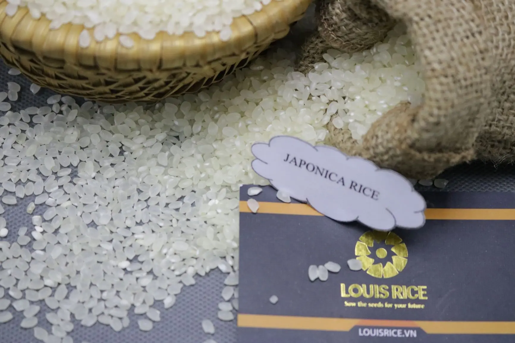 
Good price Japonica rice 5% broken high quality made in Vietnam 