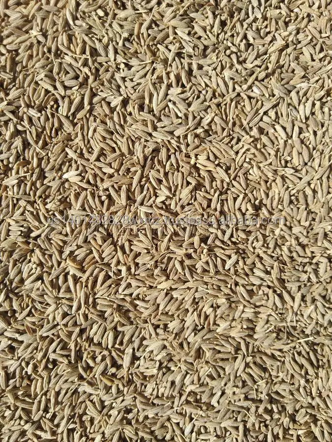 Цена для индийских специй-тмина