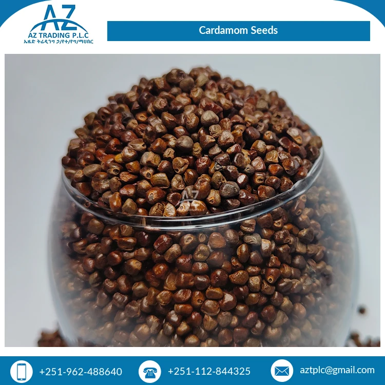 Natural Pure Organic Cardamom Seeds Dried Black Single Herbs & Spices Bulk Selling with 12% Max Moisture Granule Shape
