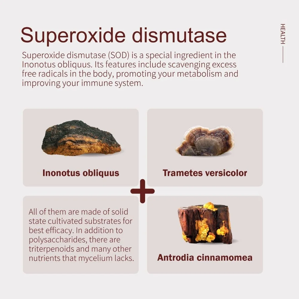 Immune System Enhance Chaga mushroom slim drink Rich in Dietary fiber and Vitamin