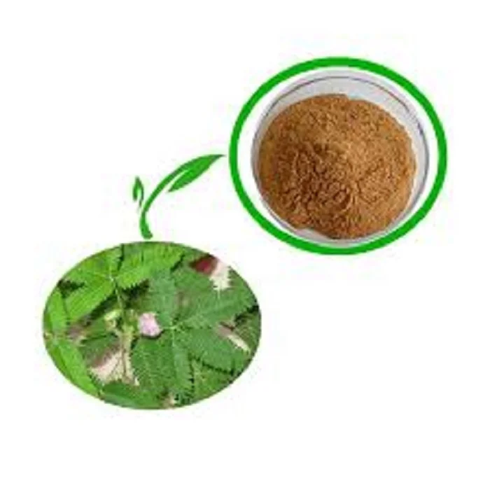 Mimosa Powder Powder High Quality Mimosa Extract Powder