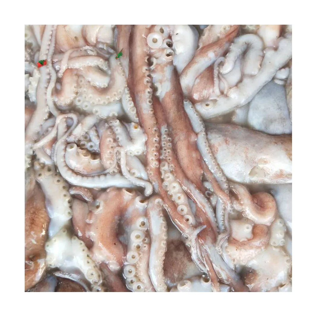 2022 Frozen Octopus / Frozen Seafood Octopus