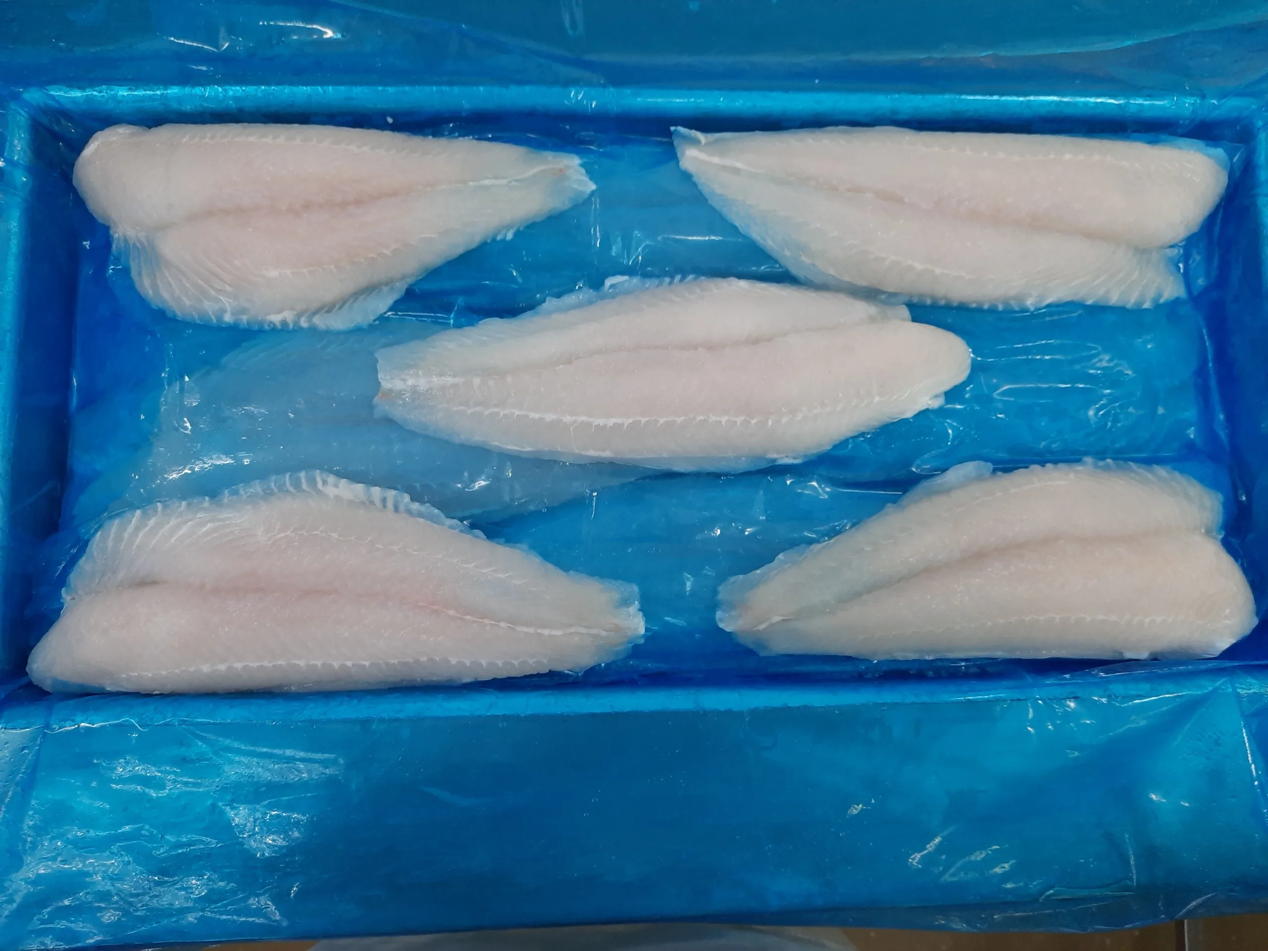 Hot Sale Seafood Frozen Basa/Pangasius fillet With Good Price, High Quality, White Fish Fillets For Export