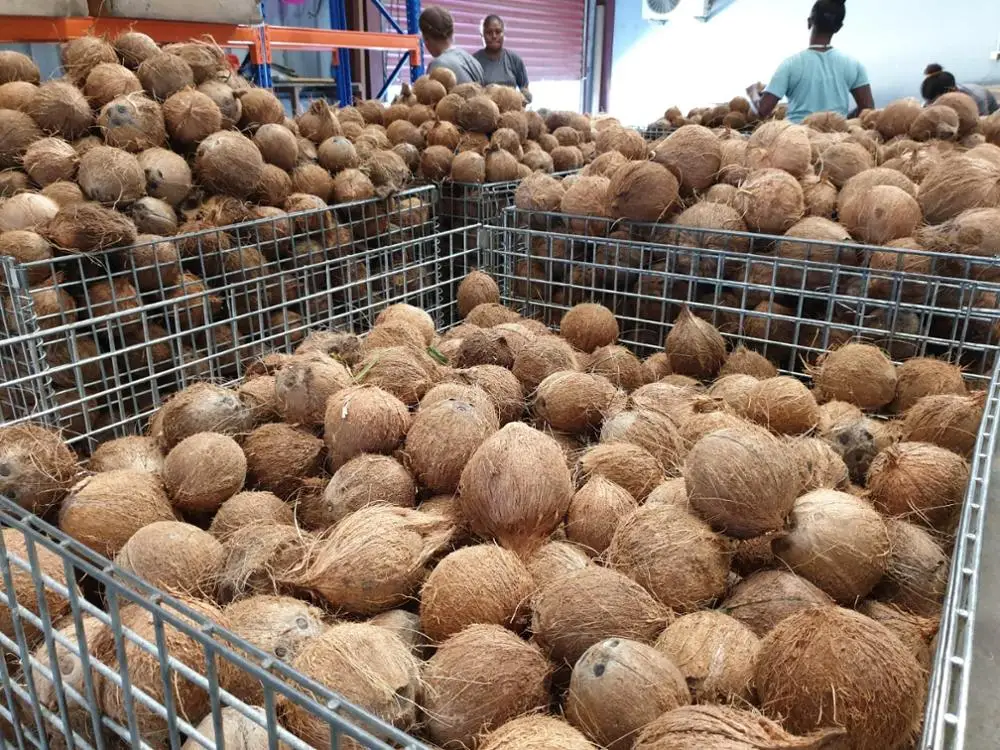 100% Medella холоднопрессованное Экстра натуральное кокосовое масло