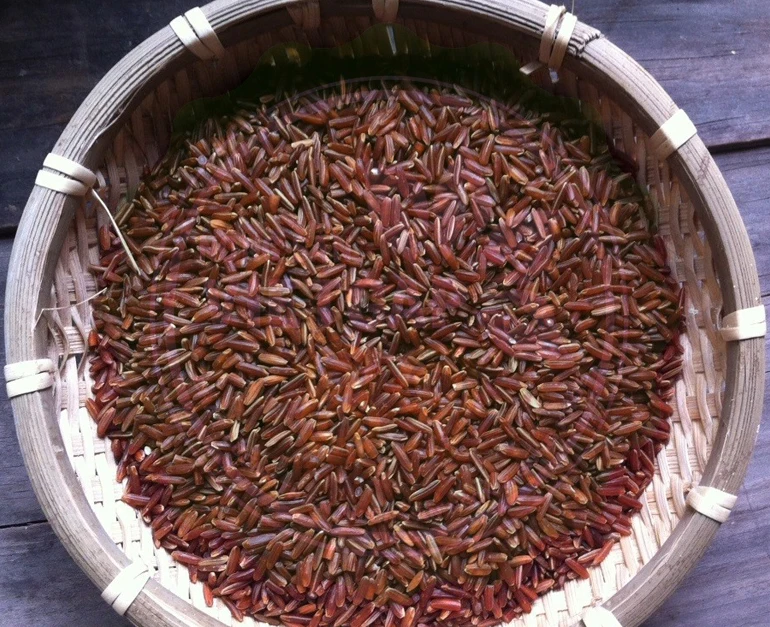 Worldwide Export 5% Broken Healthy Food Common Cultivation Type Long Grain One Color Red Rice Vietnam