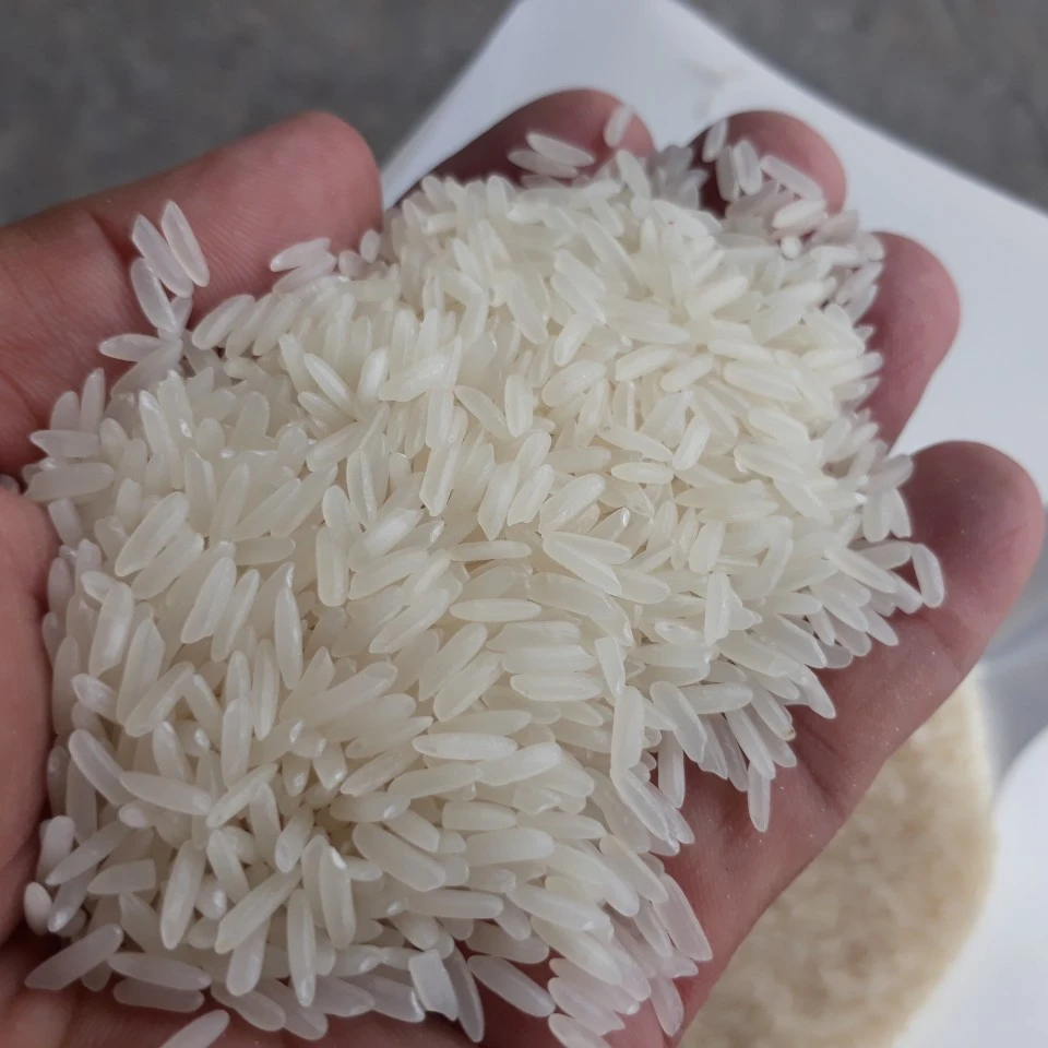 JASMINE RICE GRADE AA 100% PURITY Whatsapp: + 84905010988
