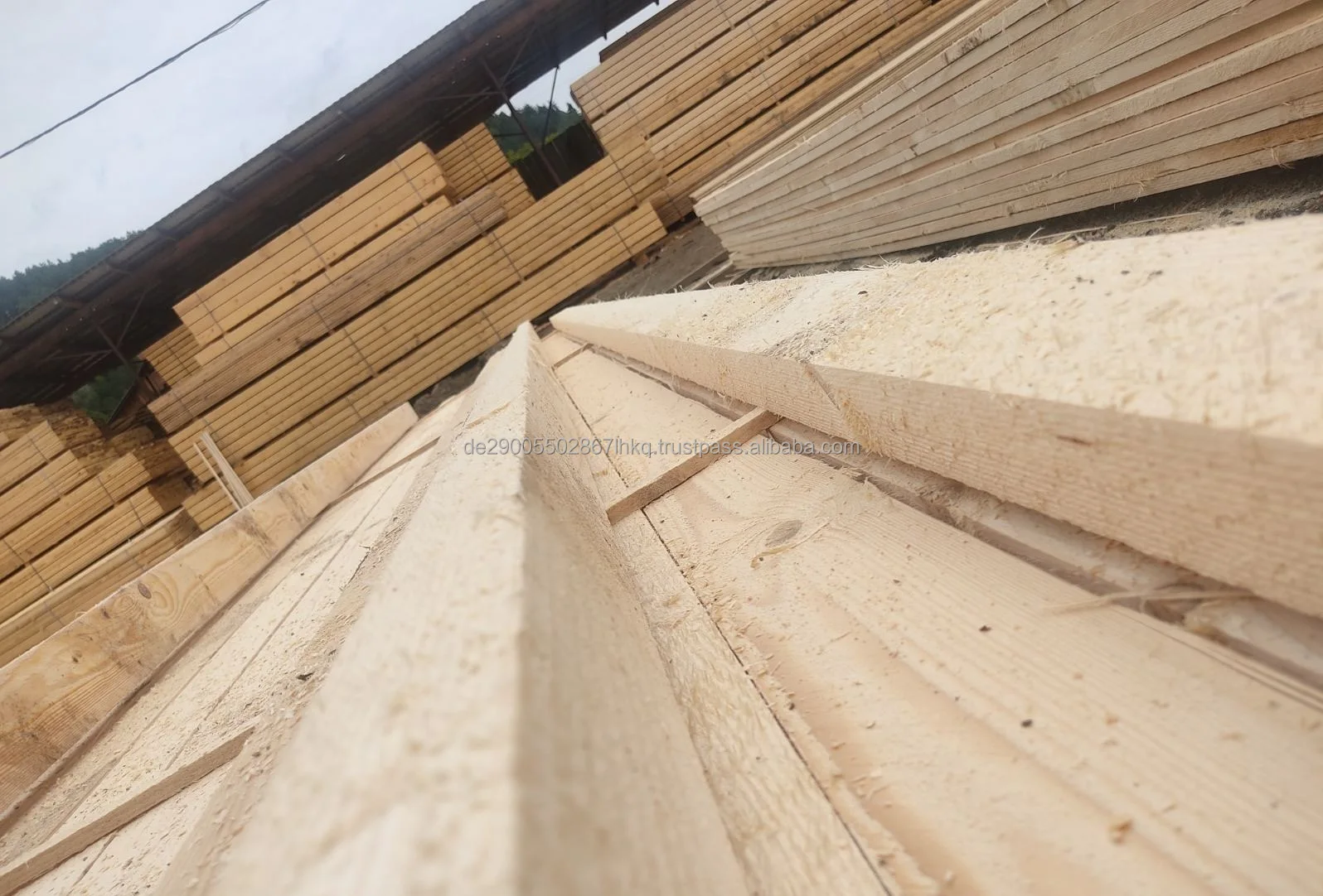 spruce timber 1.jpeg